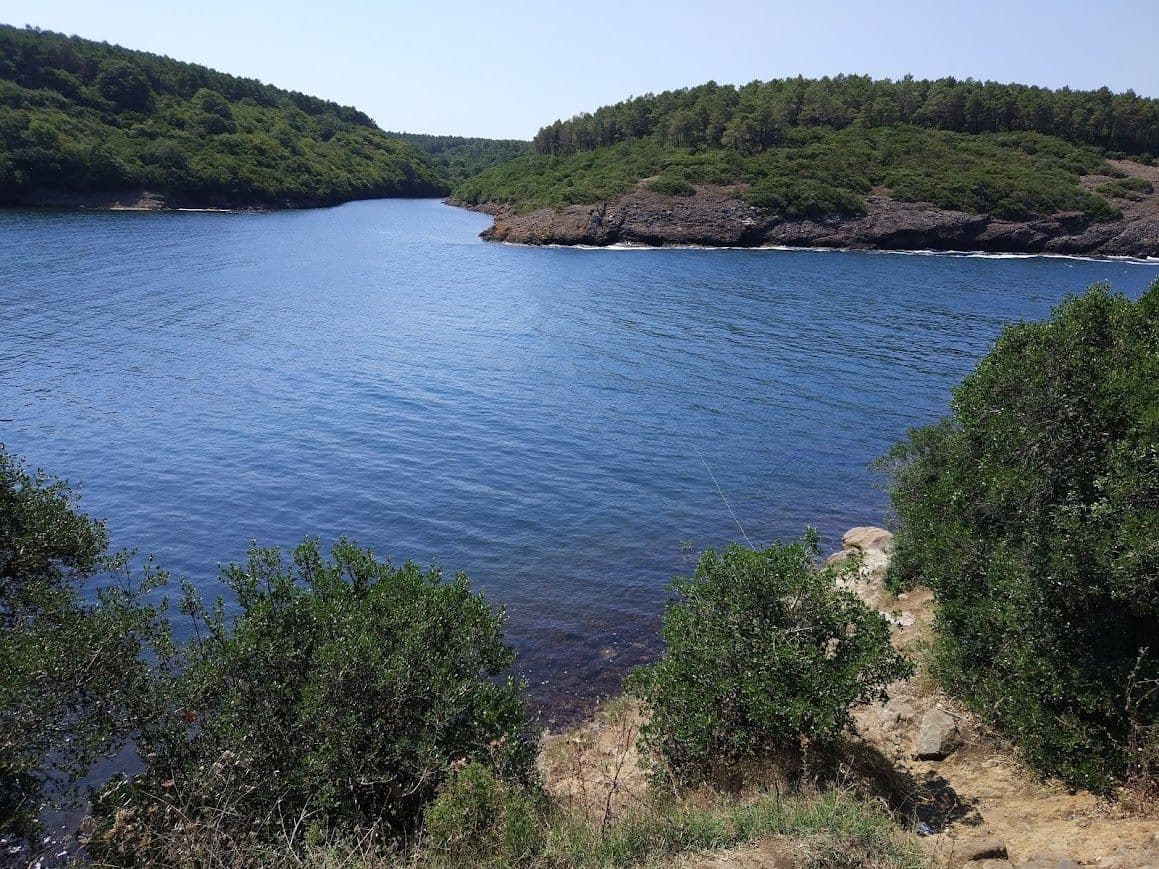 Hamsilos Koyu