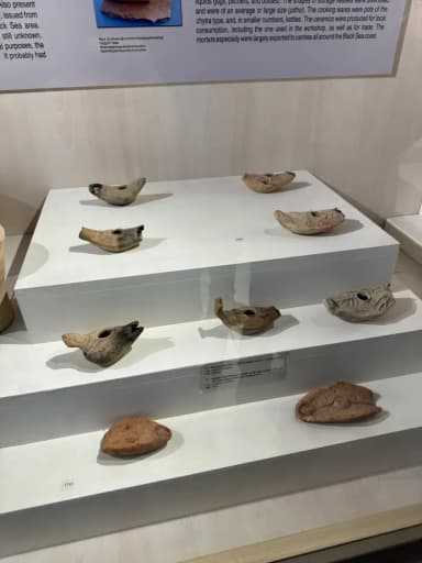 Galeri görseli