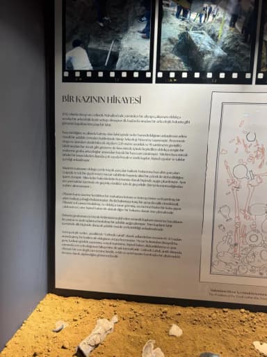 Galeri görseli