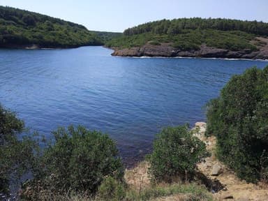 Hamsilos Koyu
