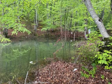Galeri görseli