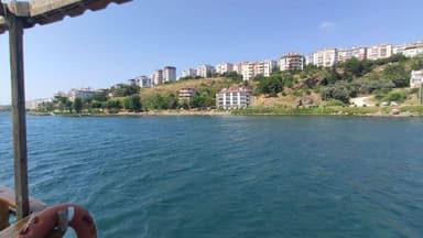 Sinop Zeytinlik