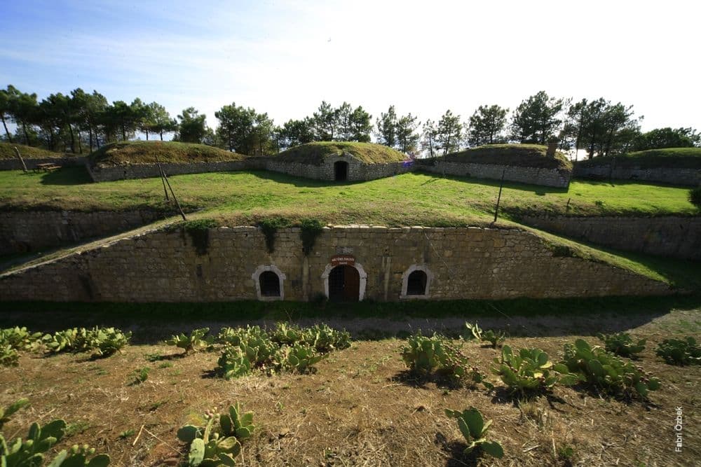 Paşa Tabyaları