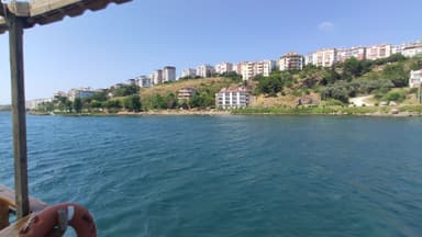 Sinop Zeytinlik